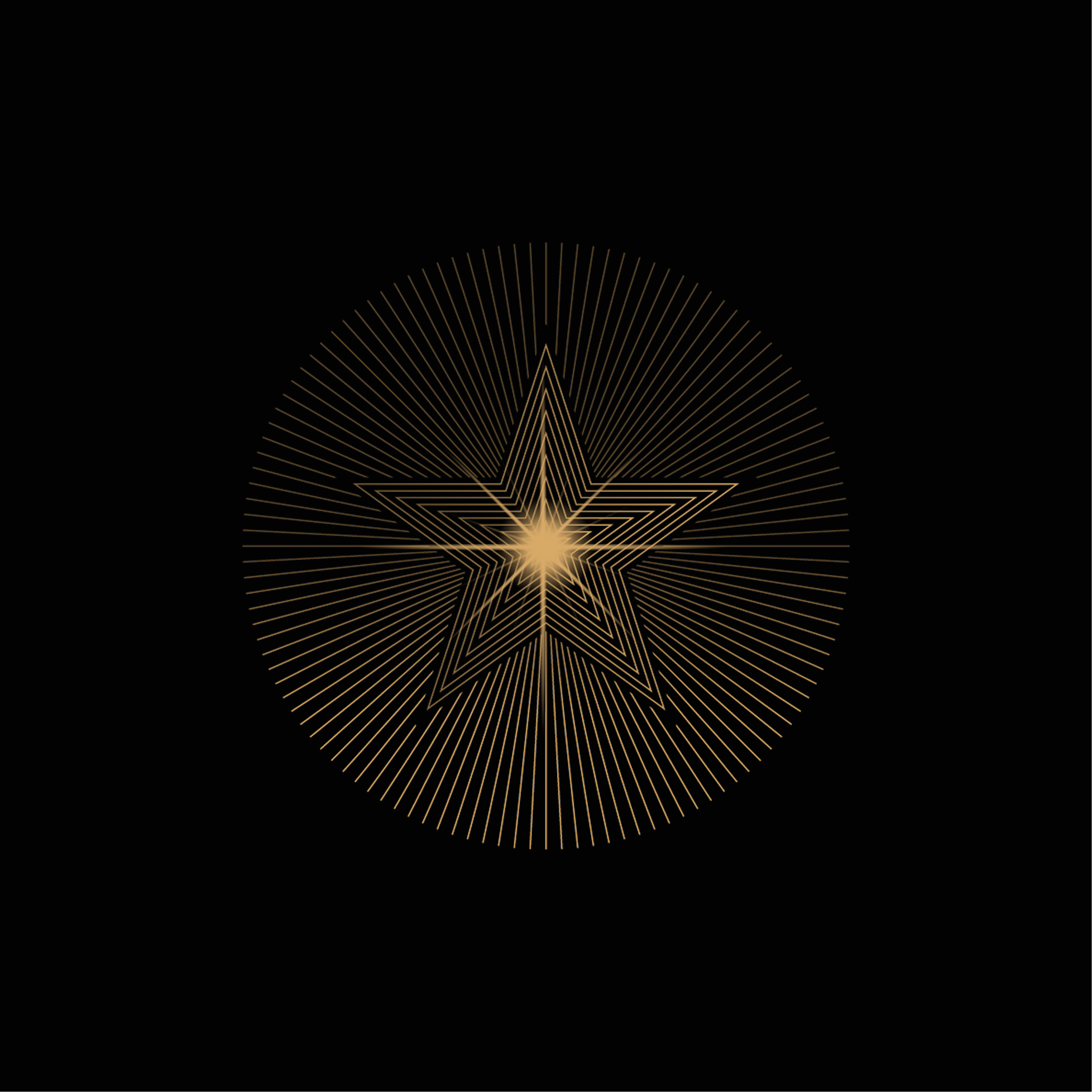 CHIEFS + VISIONARIES